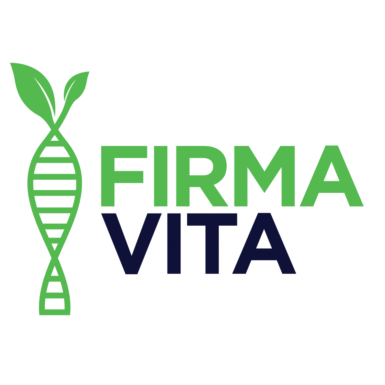 BRAND - Firma Vita